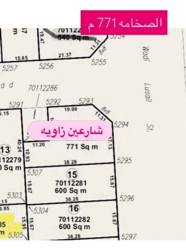 للبيع ارض بالصخامه ٧٧١ م شارعين 