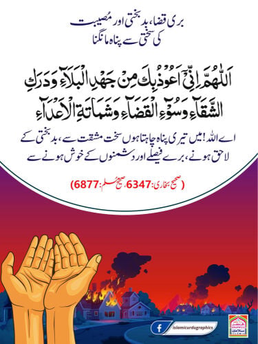 Naeem Ansari