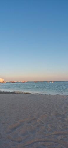 ابحث عن وظيفة