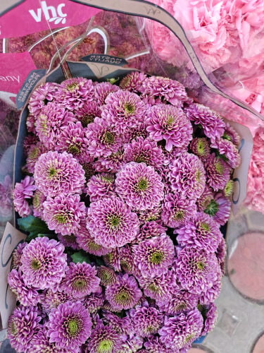 Florist 