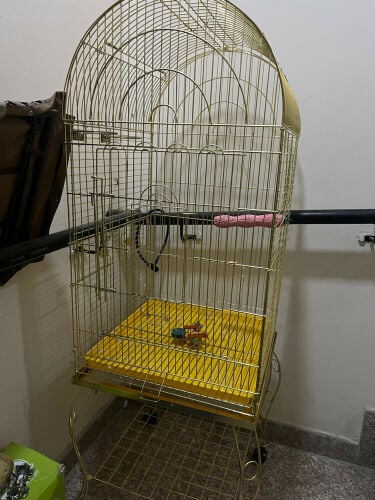 Gage for parrot 