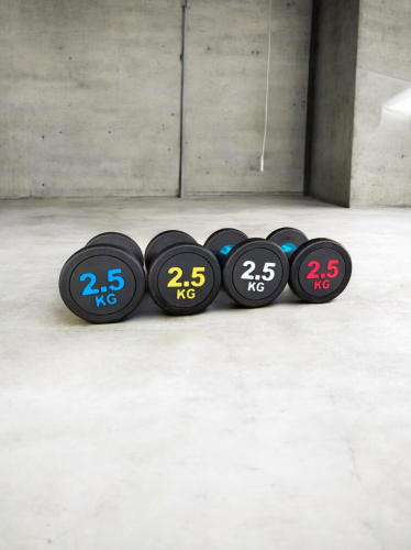 Dumbbells 2.5 to 20 kg