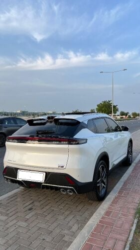 Dongfeng mage 2025.