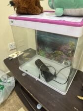 FISH TANK FOR SALE WITH ACCESSORIES