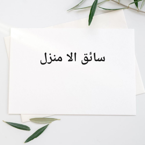 انس انور