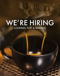 looking for Barista 
