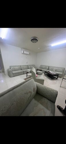 مجلس