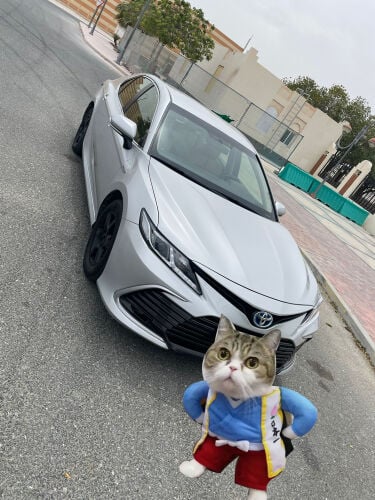 Toyota camery