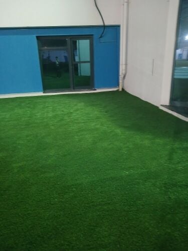 Grass carpet, artificial grass carp