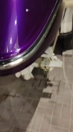 بولش قوارب
