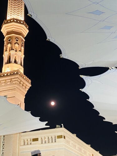 مدرس عربي 
