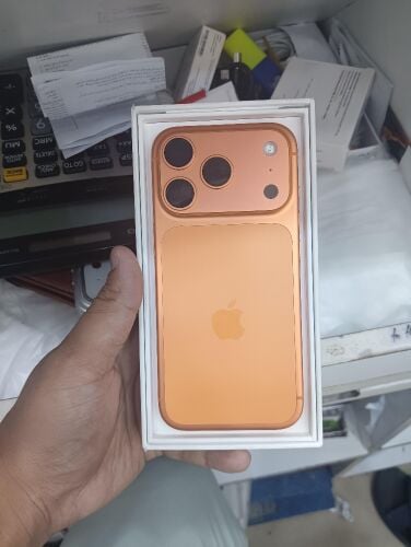 17 Pro
