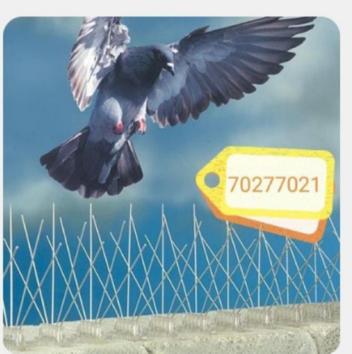 مانع الطيور 70277021