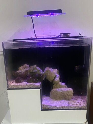 حوض بحرى بجميع اجهزته