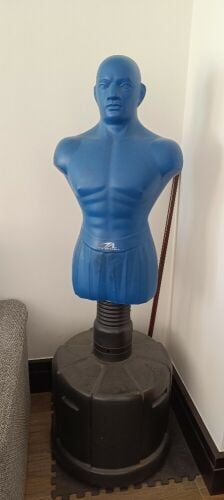 dummy boxing
