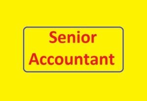 Senior Accountant (Join Immediate)