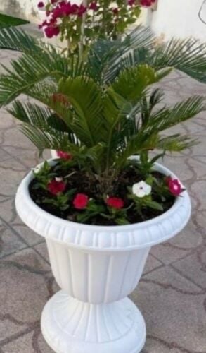 أحواض زراعه الفيبر والبلاستك