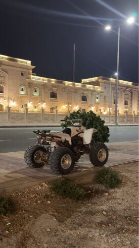 yamaha blaster for sell