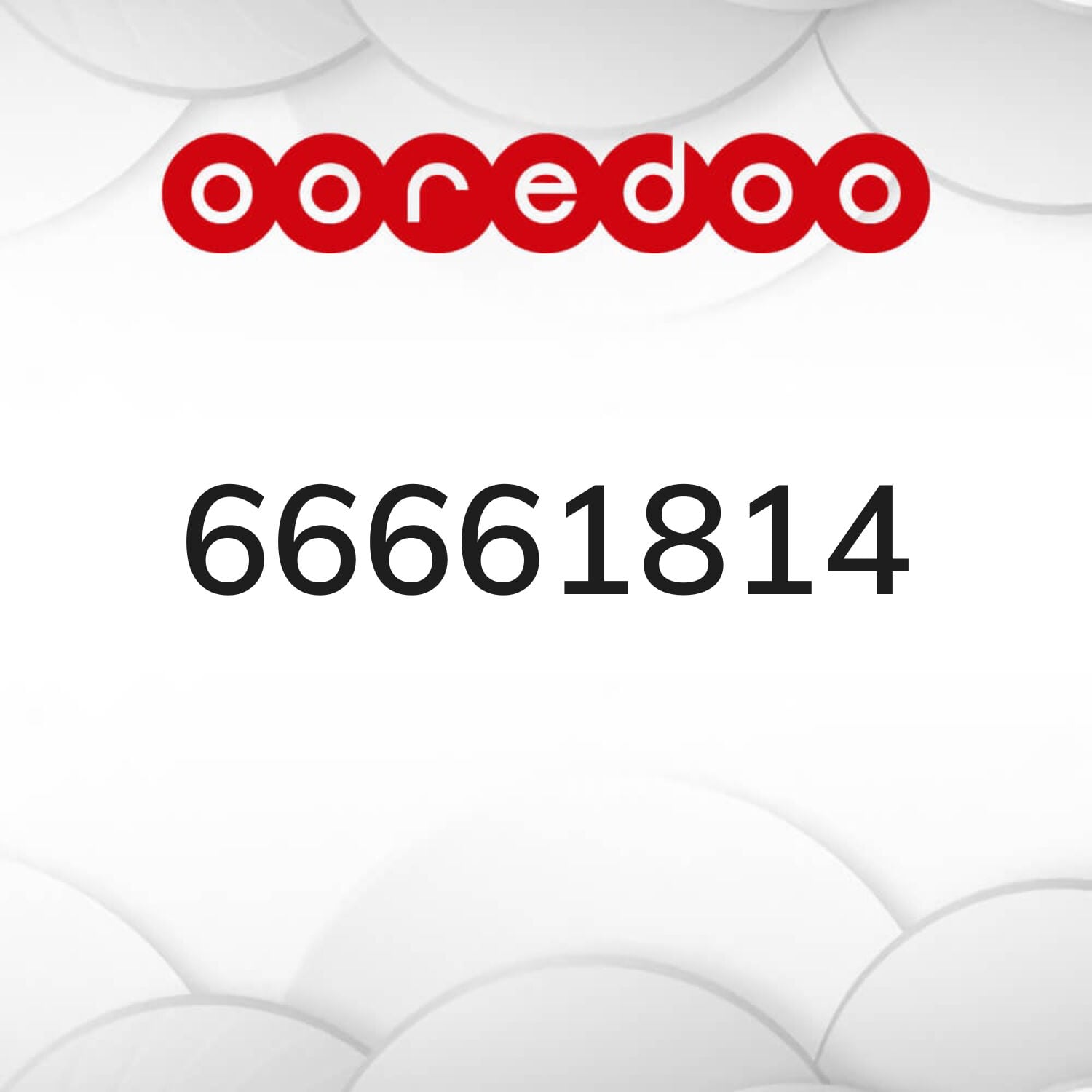 التواصل واتساب