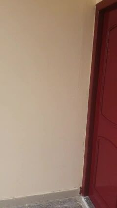 ام العمد اللولو