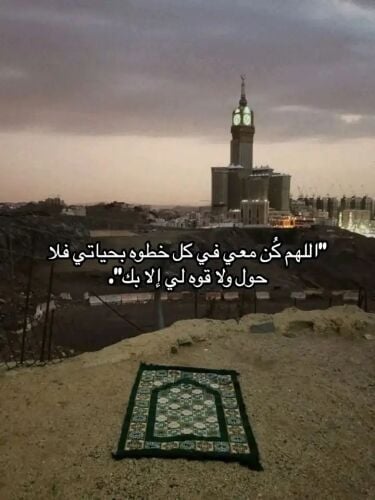 أستاذة