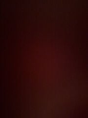 personal driver needed  