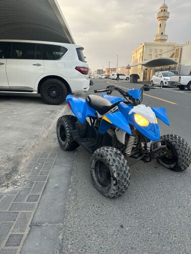 American Polaris 110cc