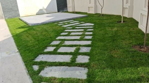 زراعة وديكور