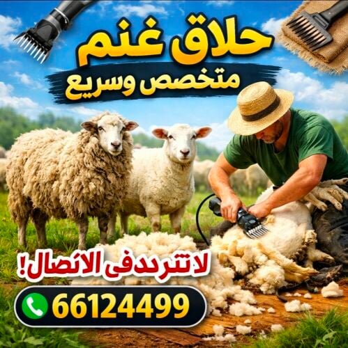 جز غنم ابل حلال