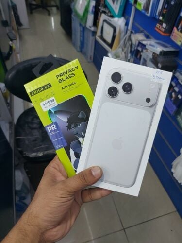 B.NEW 17PROMAX 256 SILVER