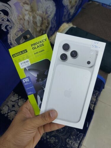 new 17max 256 giga silver