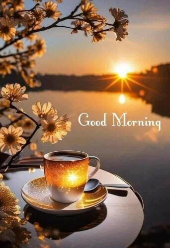 مطلوب اناث للعمل في شركه تنظيفات