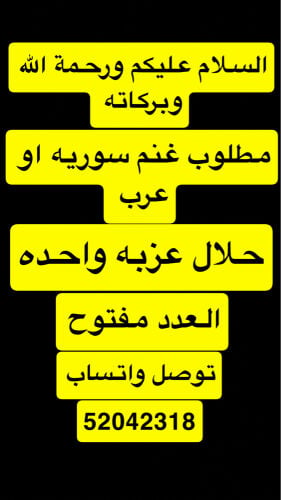 مطلوب غنم سوريه او عرب 