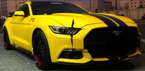 Mustang For sale