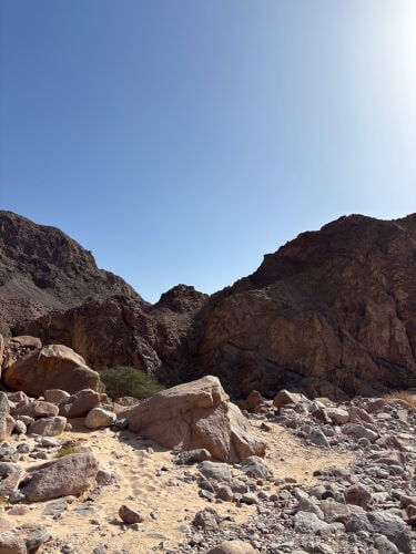 مدرسة رسم