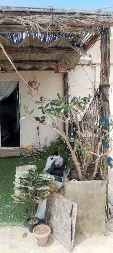 غرفه مع جلسه خارجيه بمفروشه