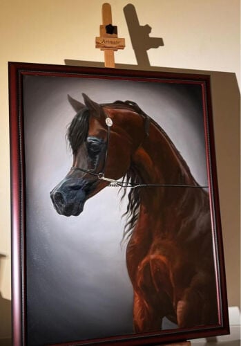 Arabian Horse paint 