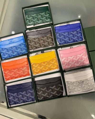 Goyard cardholder (BRAND NEW)