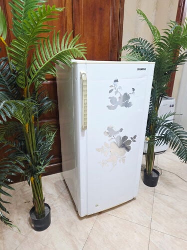 Samsung  1 door refrigerators 