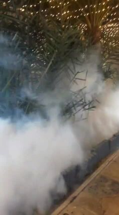 اباده جميع النامس الحشرات