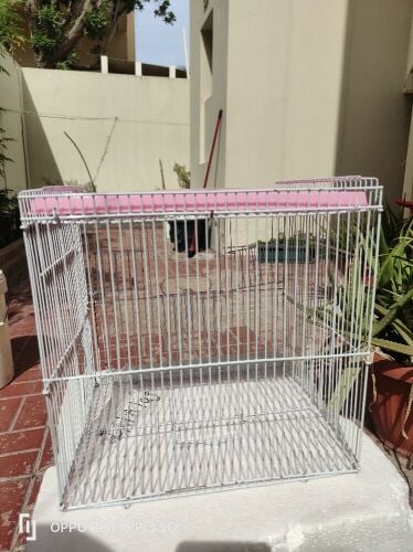 Bird cage