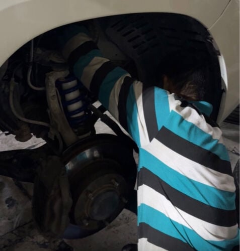 جمبينات بروفند