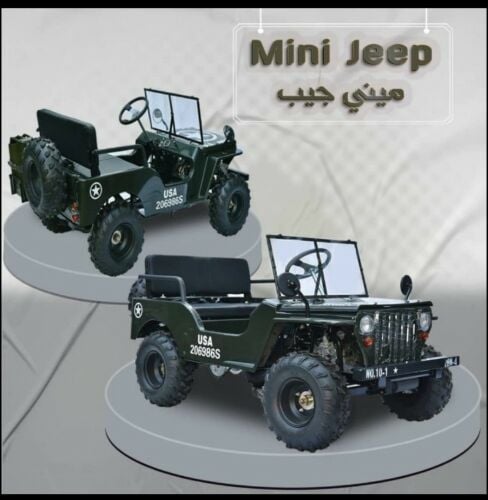 Mini Jeep car 150cc