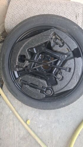 For sale: a complete bird