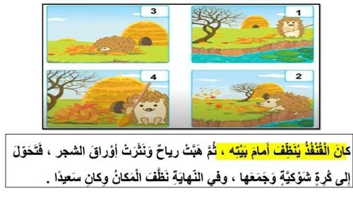 معلمه ابتدائي ومحفظه قرءان