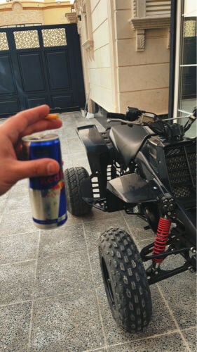 Banshee 350 