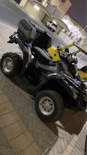 للبيع كنم 1000