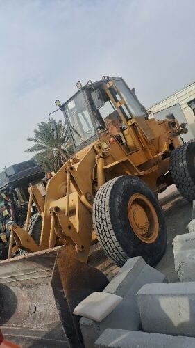 شیول 77551180