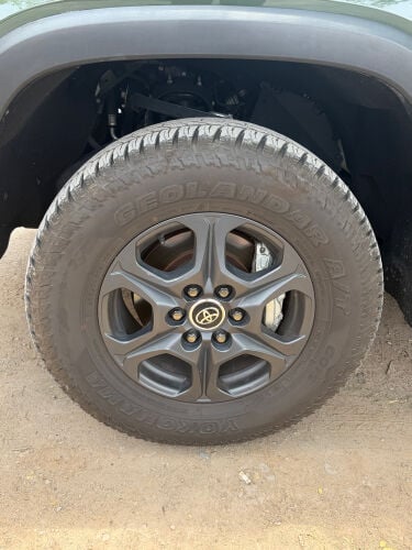 رنجات وتواير اصلية 