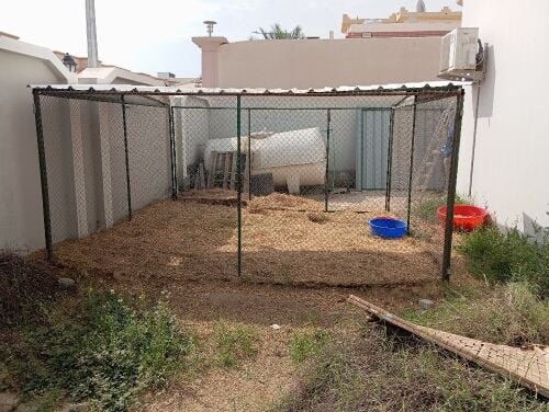 Animal Shed / Cage for sale